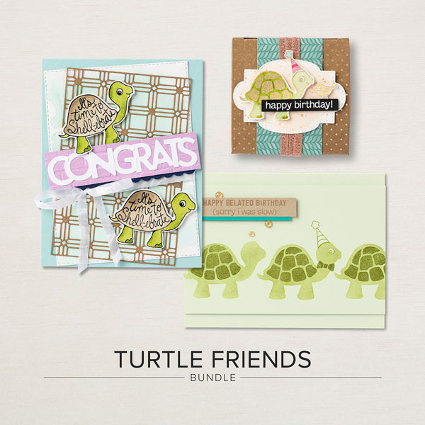 Bundle Focus: Turtle Friends