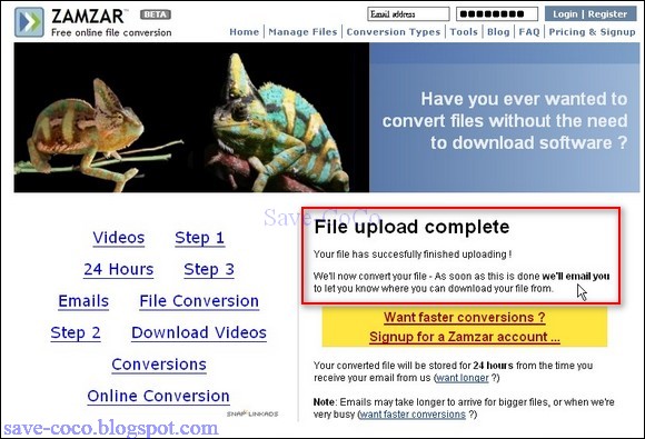 zamzar_008.jpg