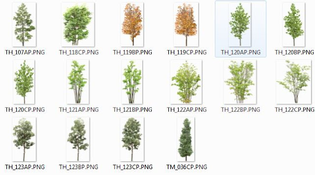 Photoshop Trees Png 04