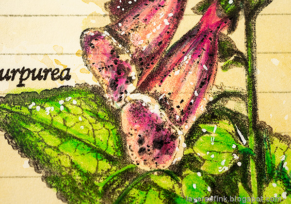 Layers of ink - Vintage Foxglove Art Journal Tutorial by Anna-Karin Evaldsson.