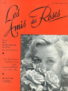 journal femme roses amis