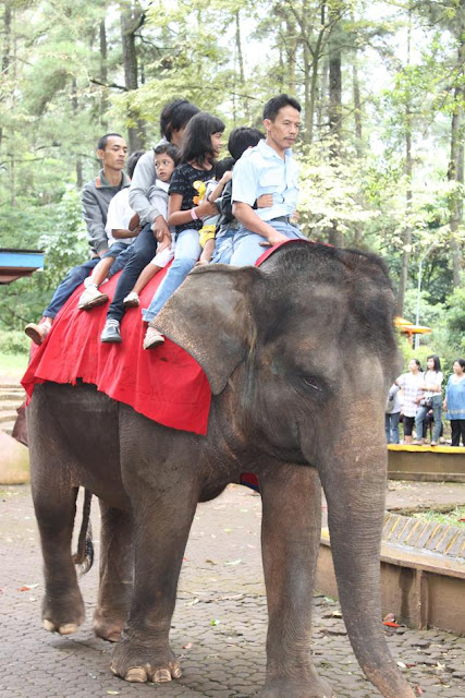 Kebun Binatang Bandung