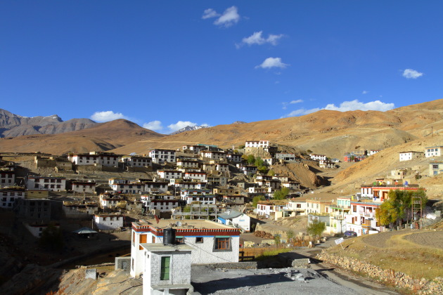 Kibber - the land of yaks, horses and snow leopards