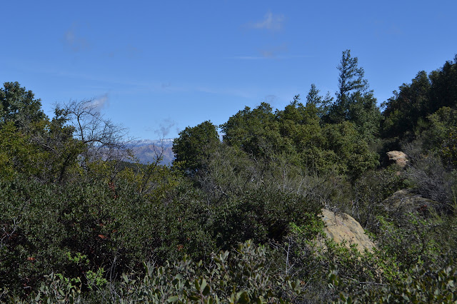 tiny view of snowy mountains