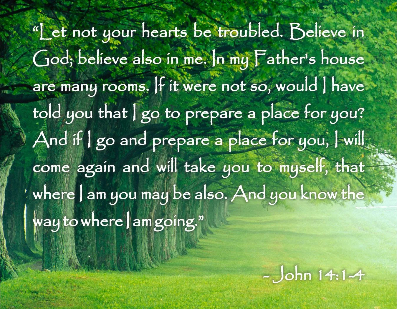 Best Losing Loved One Images On Pinterest Bible Quotes Spiritual