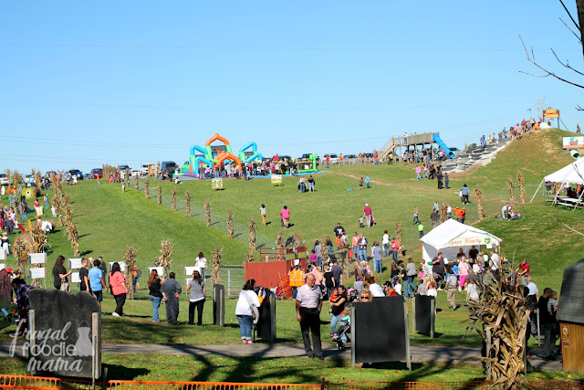 From apple and pumpkin picking to hayrides and a corn maze, there is fall fun for the entire family at Triple B Farms in Pennsylvania.