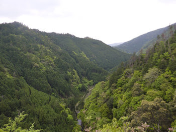 高雄山神護寺