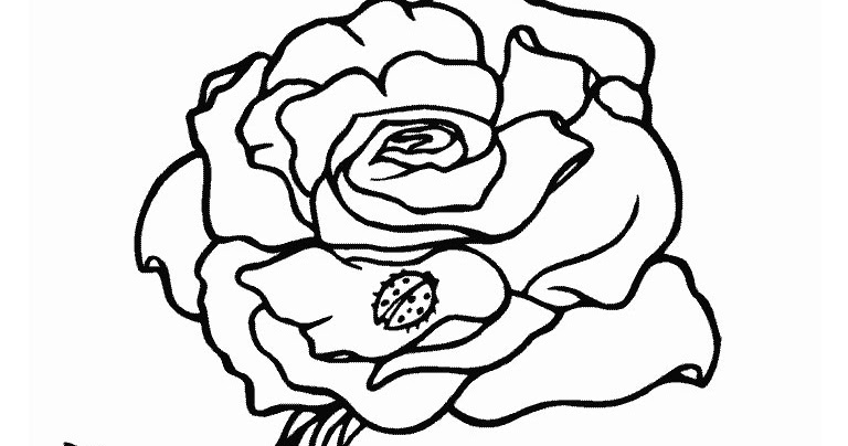 Gambar Mozaik Bunga Mawar GAMBAR BUNGA