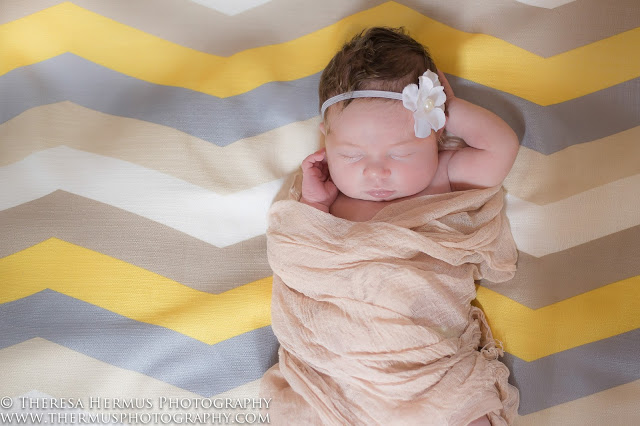 milwaukee newborn photographer, milwaukee baby photographer, milwaukee family photographer