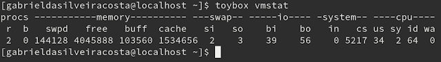 Atualmente, o vmstat do toybox 0.8.3 é assim