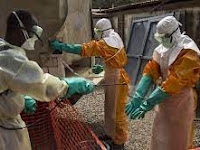 WHO declares end to Second Ebola Outbreak in Guinea.