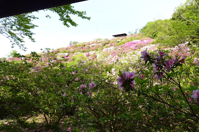 島根県松江市美保関町美保関 五本松公園の東屋からの眺望