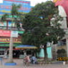 View album