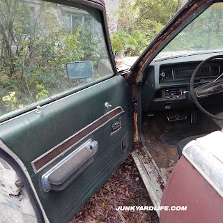 Door panel in green on 1971 Ford Country Squire wagon parked since 1994.
