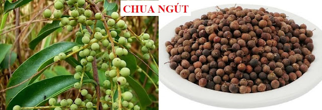 PHÒNG CHỮA BỆNH NHỜ RAU CỦ QUẢ QUANH TA - CHUA NGÚT TẨY GIUN SÁN