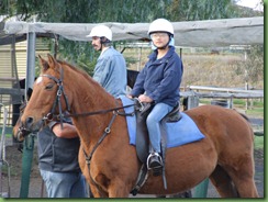 Sugarloaf Horse Center FOREVER 003
