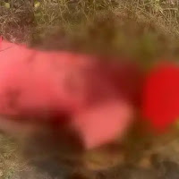 Tiger Attack: वाघाचा गुराख्यावर हल्ला अन... गुराखी ठार | Batmi Express