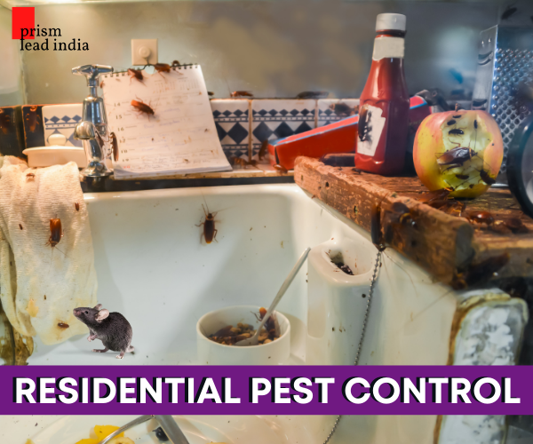 Pest Control Services Bangalore