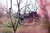 Spring ADV motorcycle