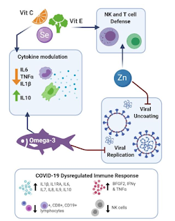 栄養素とCOVID-19