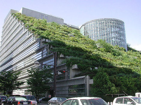 Chicago  Museum on Graphic  Entertainment  News  Phenomenon  Tutorial  Green Roof  Green