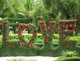 love word made from flower