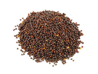 Mustard seed features get support at 3950 rupees