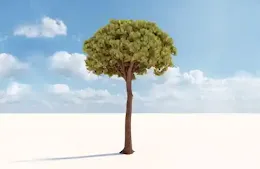 ΟΔΟΣ εφημερίδα της Καστοριάς