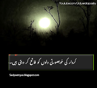 One line Poetry in Urdu Copy paste