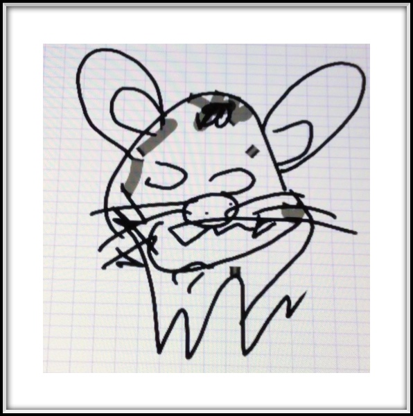 Mouse