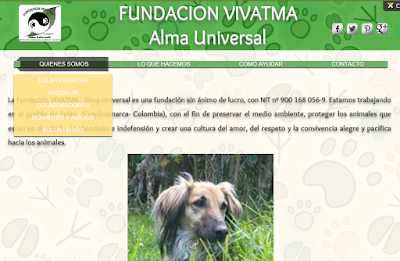 http://fundacionvivatmaau.wix.com/fundacionvivatma