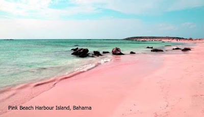 Pink Beach Harbour Island, Bahama