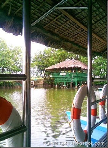 10132011(386)asiong32