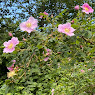 Matched post excerpt thumbnail in the post footer.