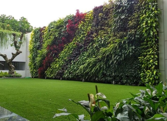 Taman minimalis modern Taman minimalis modern