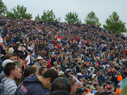 Cricket crowd picture 2010