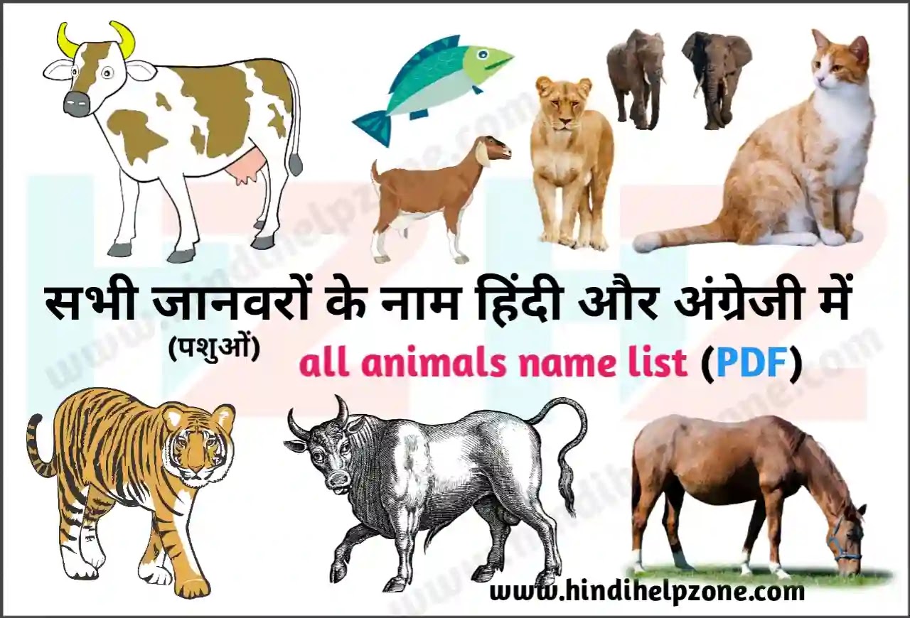 All Animals Name List In Hindi And English ज नवर पश ओ क न म Hindihelpzone All Animals Name List In Hindi And English ज नवर पश ओ क न म Hindihelpzone