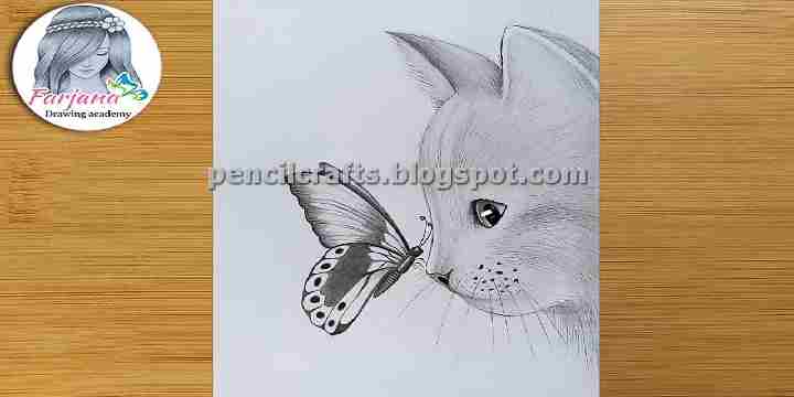 How to Make Cartoon Cat Color Pencil Drawings,Sketches