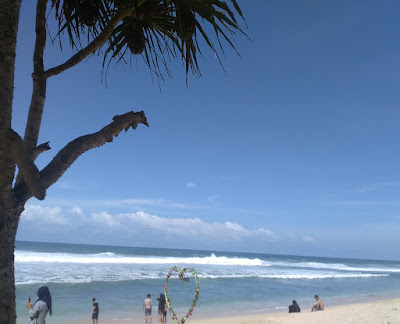 wisata Pantai Watu Kodok gunungkidul