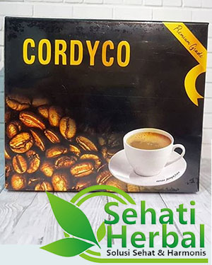 kopi cordyco