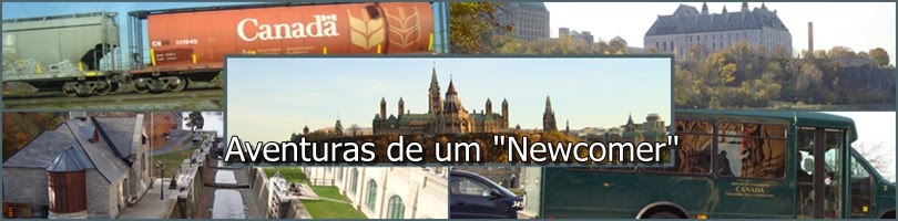 Aventuras de um Newcomer