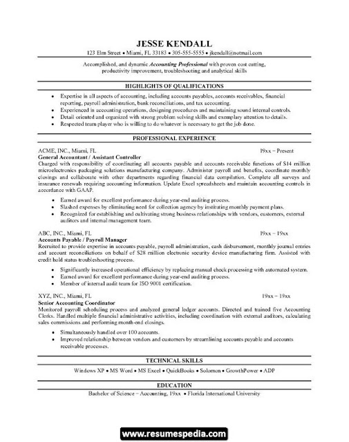 Accountant Sample Cv