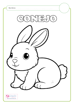 Coloreo Conejo