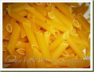 Penne rigate senza glutine con cipolla, speck e patate (5)