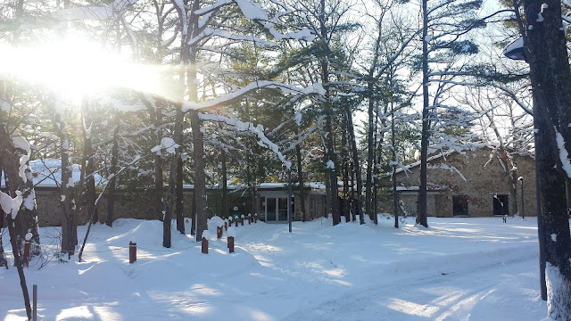 snow neige forest interlochen center for the arts michigan