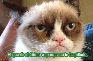 imagenes - animales - chistosos - frases - risa - whatsapp