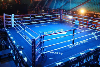 boxing is healthier while using body protectors in the ring