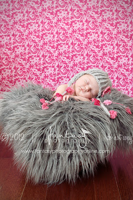 winston salem newborn photography by fantasy photography