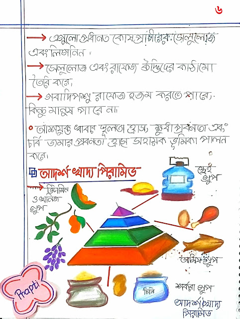 SSC Biology Chapter 5 Hand Note