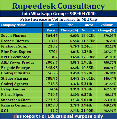 Price Increase & Vol Increase In Mid Cap